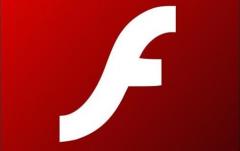Adobe Flash Pla<x>yer Plugin（非IE内核）
