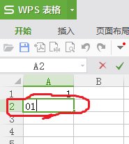 Excel中的01怎么打上去？
