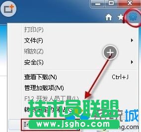 win10下IE9浏览器打开网页出现白屏的解决步骤2